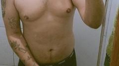 Urso Safado Online