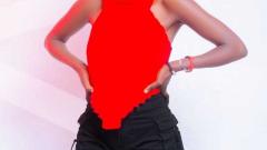 Vixendoll Online
