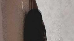 Darina88 Online
