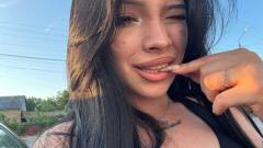 Shy-bunny3 Online